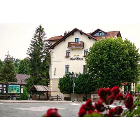 Hotel Bitoraj Fužine