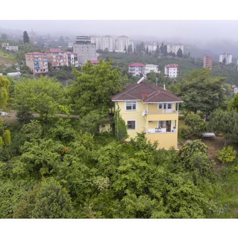 house for rent in the middle of nature