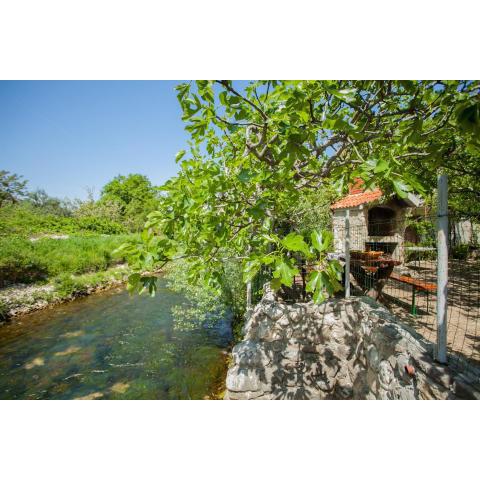 House next to the river Miro