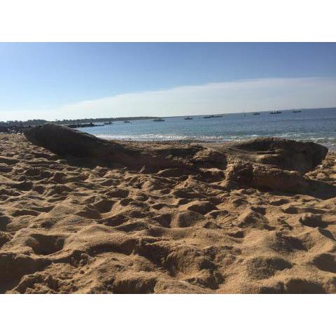 Iløt Vacances Le Château D Oleron