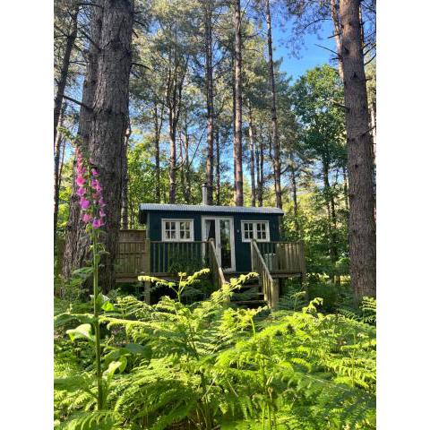 King Nutkin Shepherds Hut