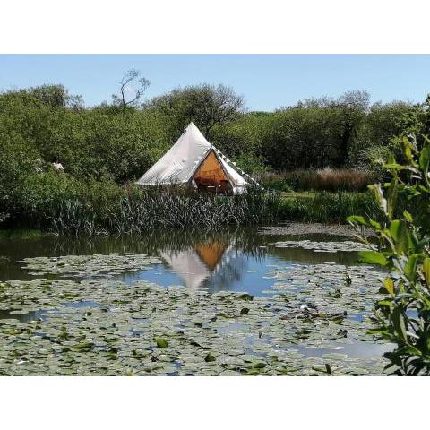 Lakeside Retreat at Amalwhidden, St. Ives