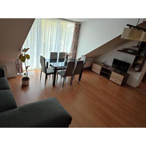 LARIX Apartman