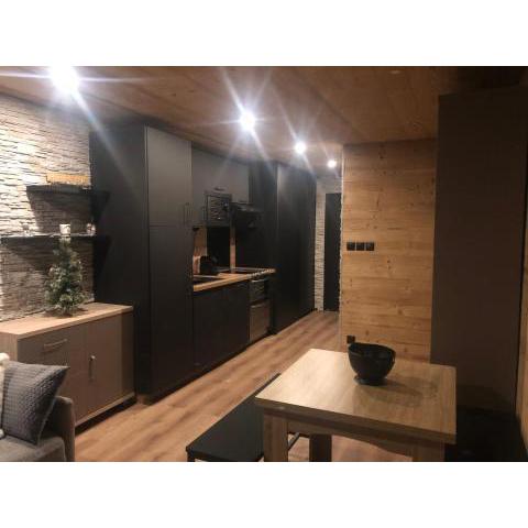 Les Deux Alpes : superbe appartement tout équipé.