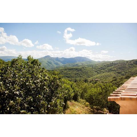 Les Jardins de Lacamp, un paradis en sud Cévennes