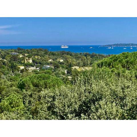 Les Restanques vue mer 3 chambres bastide