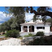 Lilly - Lovely small Villa among Olive Trees