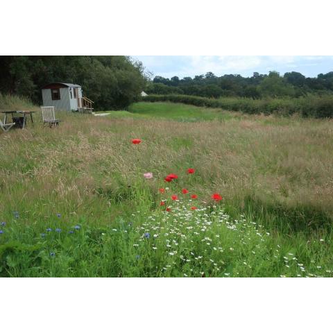 Little Idyll shepherds hut