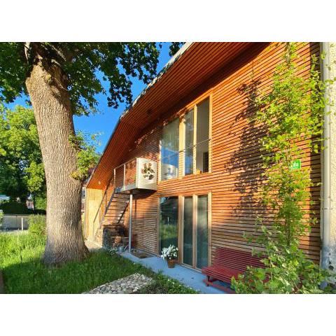 Loft mit Dachterrasse