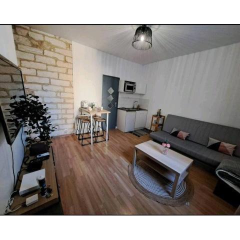 Logement HYPER cosy gare St Roch