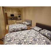 London Luxury Apartments 5 min walk from Ilford Station, with FREE PARKING & FREE WIFI