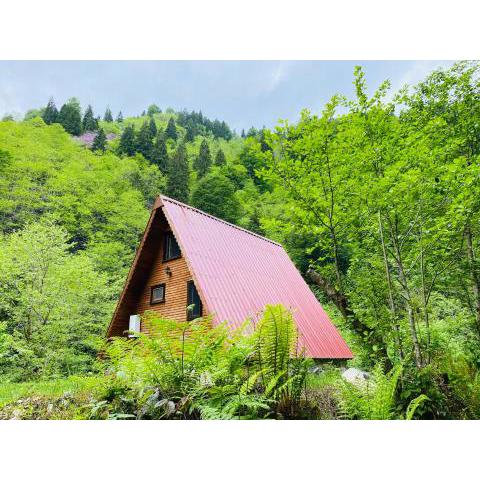 Long River Mountain House - Bungalow