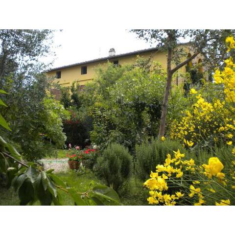 Lovely countryhouse on Chiant hills