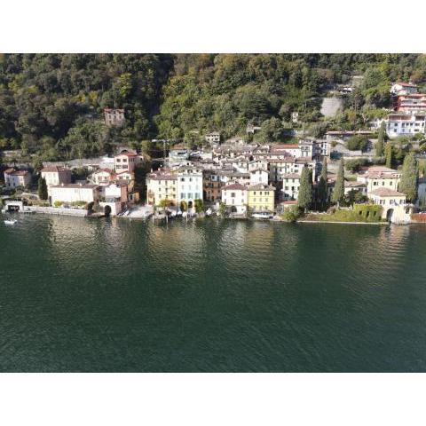 Lugano Lake, nido del cigno
