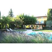 Luxueux Mas provençal avec piscine au pied du Mont Ventoux