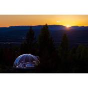 Luxurious glass-igloo close to Oslo!