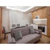 Luxury flat Salamanca III