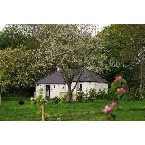 Magnolia Cottage - Kent