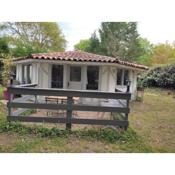 Maison atypique dans un endroit calme arboré