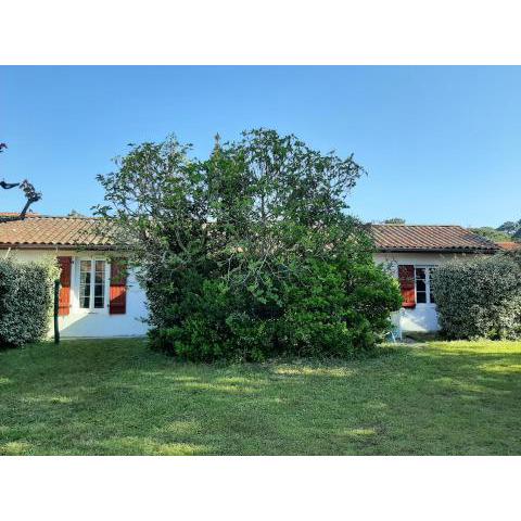 Maison Capbreton, 3 pièces, 4 personnes - FR-1-239-923