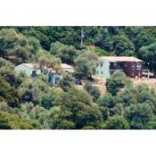 Maison de 2 chambres avec vue sur la mer jacuzzi et jardin clos a Cargese