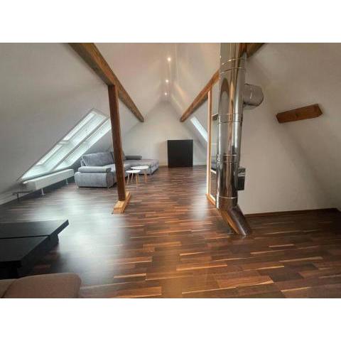 Maisonette Apartment Family & Business nähe Heidelberg I Küche I 6 Schlafplätze