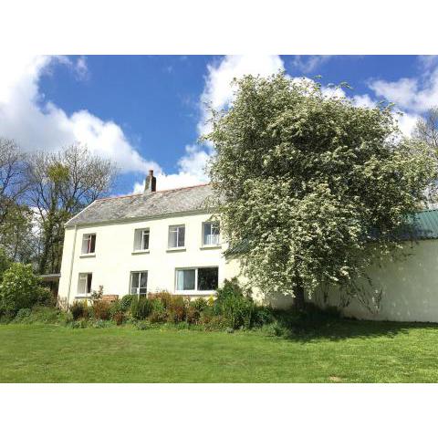 Marsh Cottage