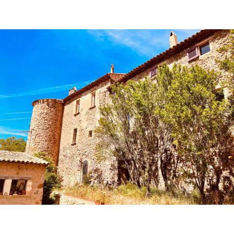 Mas Provençal au pied de la sainte Victoire à 8 k d'Aix en provence