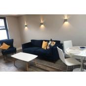 Modern 1 Bed 1 Bath in Central Dublin Location