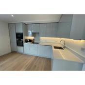 Modern 1BD Flat near River Thames Battersea!