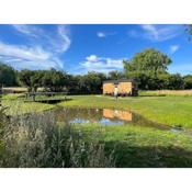 Mountbatten Shepherds hut & Buckhurst Shepherds hut