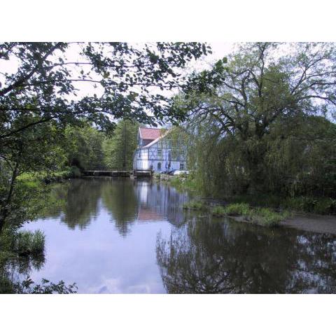 Mühlenteich in der Oldenstädter Wassermühle