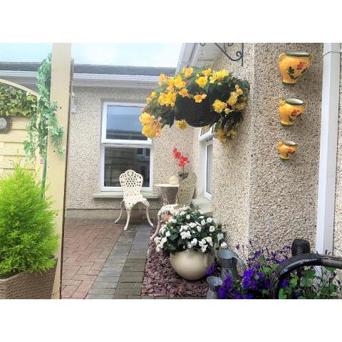 Naas 2 Bedroom Back Garden Escape