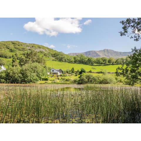 Nant Y Gwernan