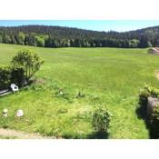 Natur Pur im Hochschwarzwald