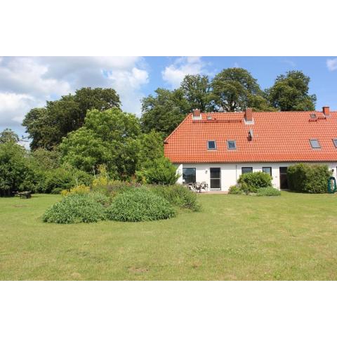 Natur und Erholung in Mecklenburg in einer modern renovierten Wohnung mit Terrasse und Garten