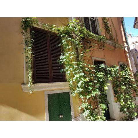 Navona's Flat Alley