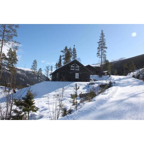 New cabin with sauna, ski inout and fast Wifi