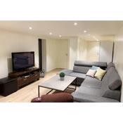 Newly renovated basement apartment