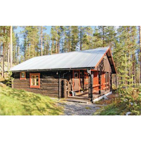 Nice home in Idre with 2 Bedrooms, WiFi and Sauna