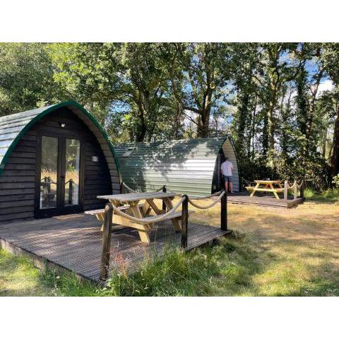 Nightjar Cabin at Cloudshill Glade