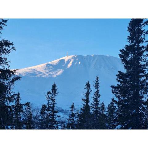 Ny leilighet med flott utsikt til Gaustatoppen