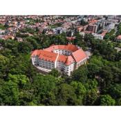 Palace Art Hotel Pezinok