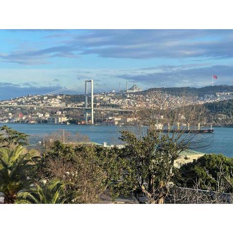 Panoramic Bosphorus View Cozy Apartment