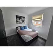 Panoramic City Views, Free WiFi, Canary Wharf Penthouse