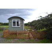 Peaceful Shepherd's Hut next to Horse Field