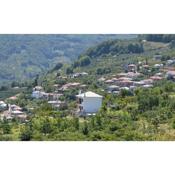 Pelion Panoramic View Villa Maron