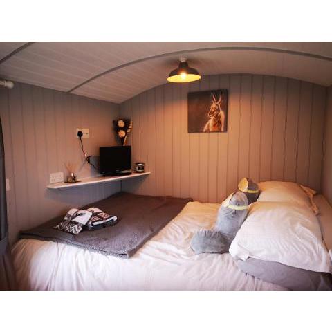 Pen-Rhos luxury glamping 