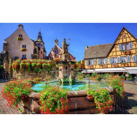 Plaisirs d'Alsace