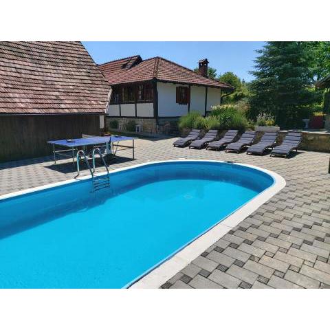 Pool village house Breznica